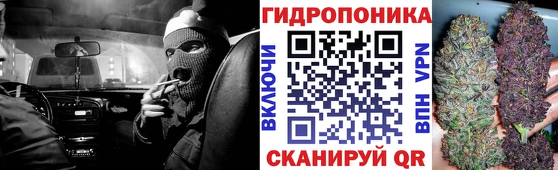 Купить наркотик Киров Конопля  Кокаин  Alpha-PVP  Мефедрон  Гашиш 
