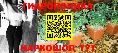 гидропоника Коммунар