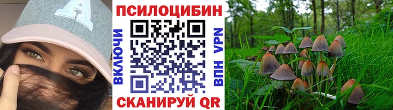 мега   Киров  Галлюциногенные грибы прущие грибы  купить наркотики цена 
