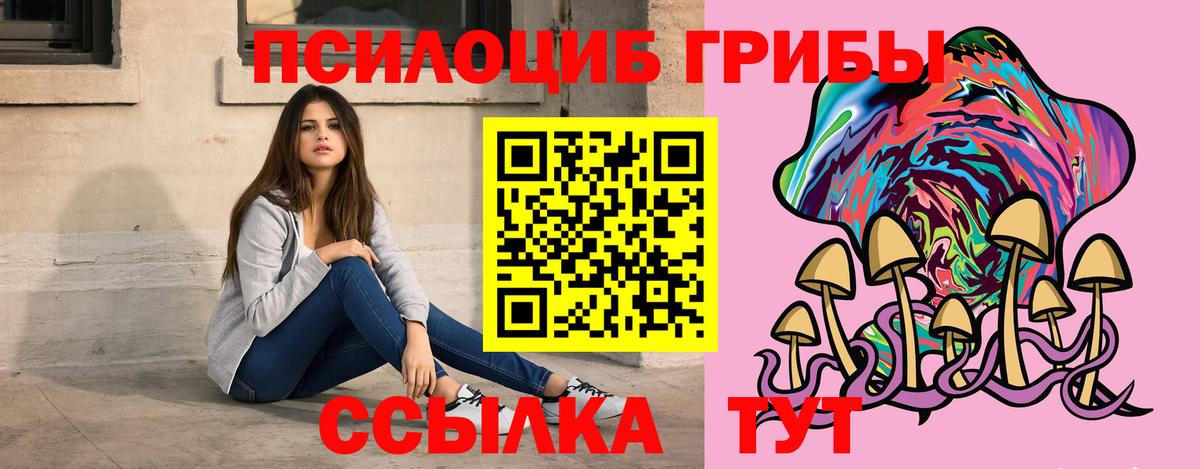 Псилоцибиновые грибы Psilocybe Киров