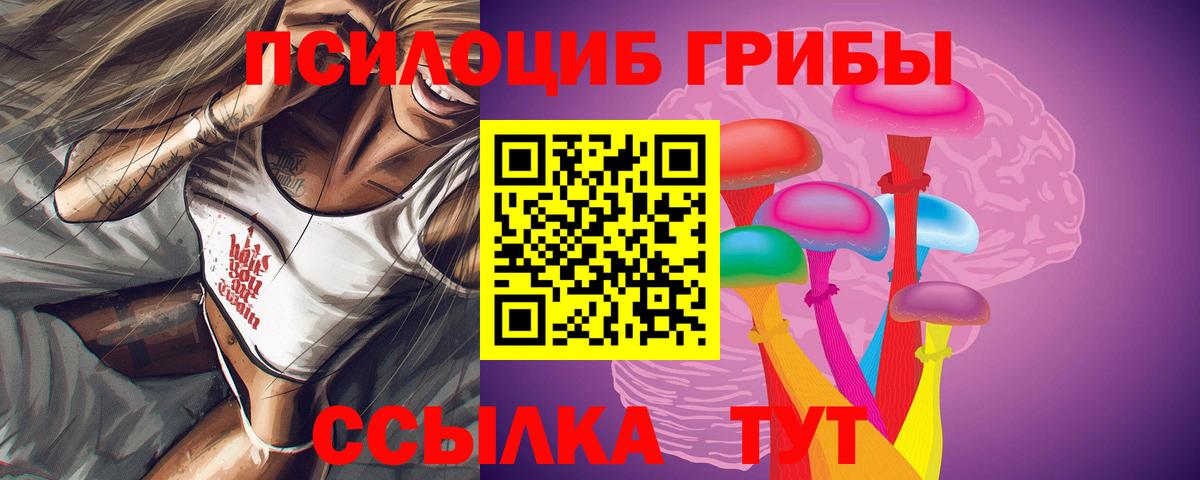 Киров  Псилоцибиновые грибы мицелий  Вход с VPN 