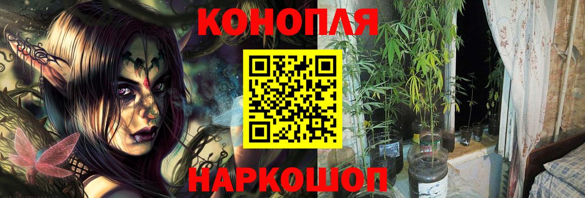Бошки марихуана VHQ Киров